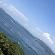 まーたん