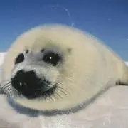 断捨離中