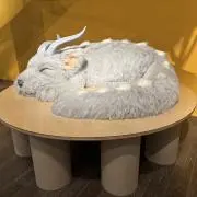 すぴかの画像