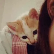 ★FUu⭐︎★引っ越しのため断捨離中！の画像