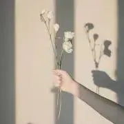 eoの画像