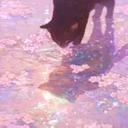 椿の画像
