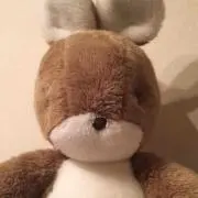 停止中☆あるっこ