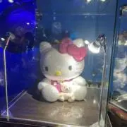 ゆうちゃんの画像