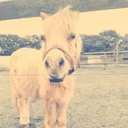 takuの画像