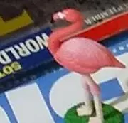 donos ♪の画像
