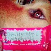 るる