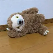 もっくん
