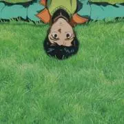 蓮の画像