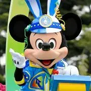 コバコの画像