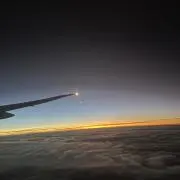 ゆの画像