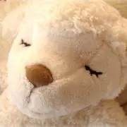 まっし