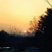 てんちゃん