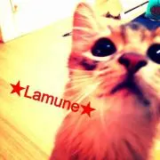 ★Lamune★