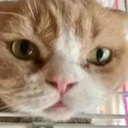 ち°ーち°ー