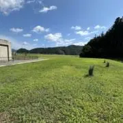 綾うまの画像