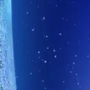 いちごの画像