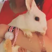 ゆい