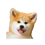 さすけの画像