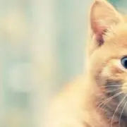 811★即購入OK！値下げ中です♪の画像