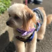 たかふみ