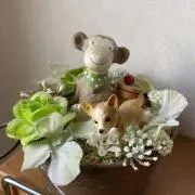 メグの画像