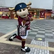 ふの画像