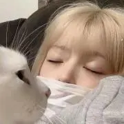 ぽんの画像