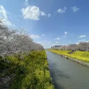 taimamaの画像