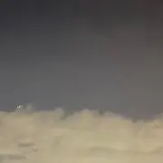 ウナの画像