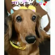 プリン