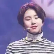 キャベツ