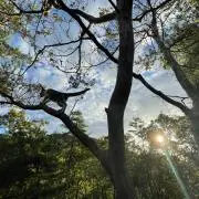 森の芸術大学AUN
