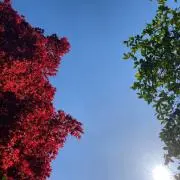 さかもーの画像