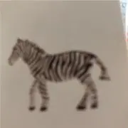 リサの画像