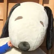 かずゆづの画像