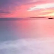 Watermelonの画像