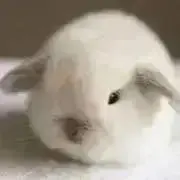 ☺︎(プロフ必読願います)の画像