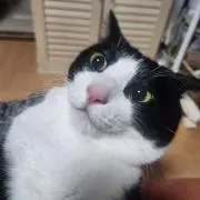 めぐ