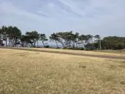 T　かずの画像