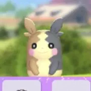 ひめの画像