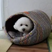 ぽん太の画像