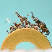 maruの画像