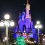 Yamaichi☆の画像