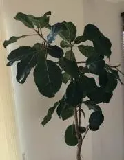 Hee chanの画像