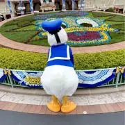 chiiiisooooの画像