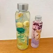 ミントの画像