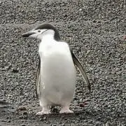 satokosasasaの画像
