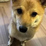 ＨＷＴの画像