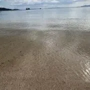しろまるの画像